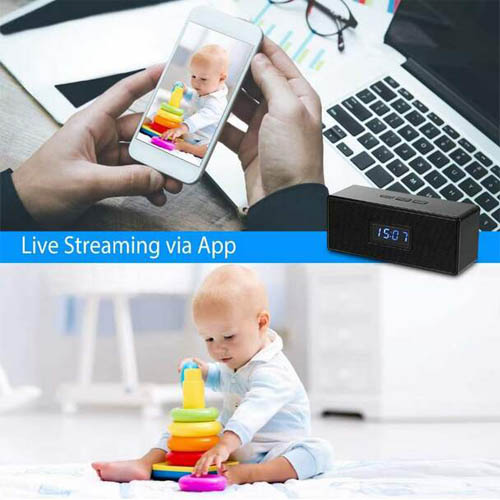 Speaker İP Gizli Kamera
