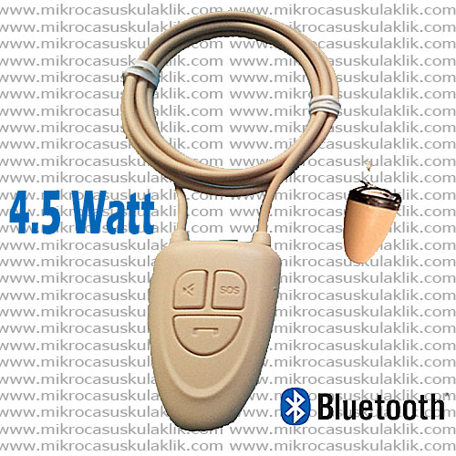 4.5 Watt Casus Kulaklık