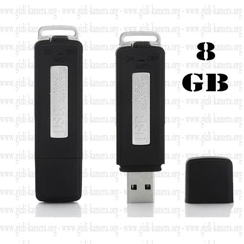 Usb Ses Kayıt Cihazı 8 GB